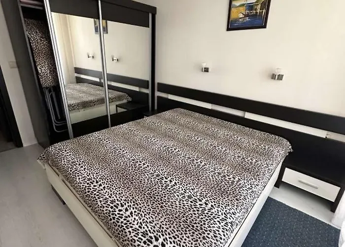 нино 1 * Созополь